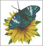 (image for) Gandy Baron Butterfly